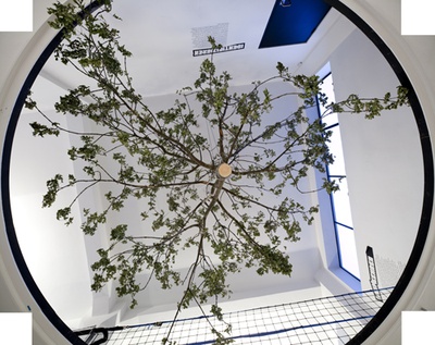 Com&Com: Making Identities – Blick in die Ausstellung