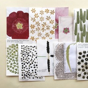 Carmen Müller, Samensackln, Tempera auf Papier, ­mehrteilig, 2019