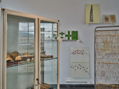 Blick in die Ausstellung "Carmen Müller: Von Gärten, Pflanzen und Menschen".