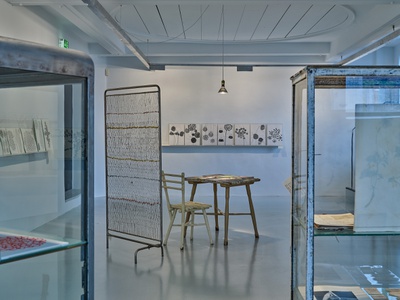 Blick in die Ausstellung "Carmen Müller: Von Gärten, Pflanzen und Menschen".