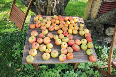 Pfarrgarten, Mariahilf, Innsbruck