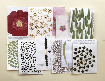 Carmen Müller, Samensackln, Tempera auf Papier, ­mehrteilig, 2019