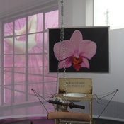 Blick in die Ausstellung im aut