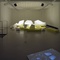Blick in die Ausstellung "Farbenhäuser und Lichtgewächse"