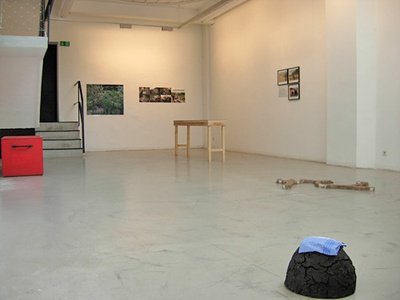 Blick in die Ausstellung "Lois und Franziska Weinberger: Feldarbeit"