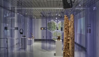 Blick in die Ausstellung "Potenziale 3" mit dem Beitrag "Living Space" des Bio Labs