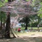 "children's corner im rapoldipark"