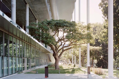 NUS School of Design and Environment, Singapore (Architektur: Serie Architects, Multiply Architects) – © Rory Gardiner NUS School of Design and Environment, Singapore (Architektur: Serie Architects, Multiply Architects)