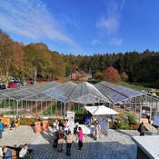 Vinzi-Rast am Land, Alland